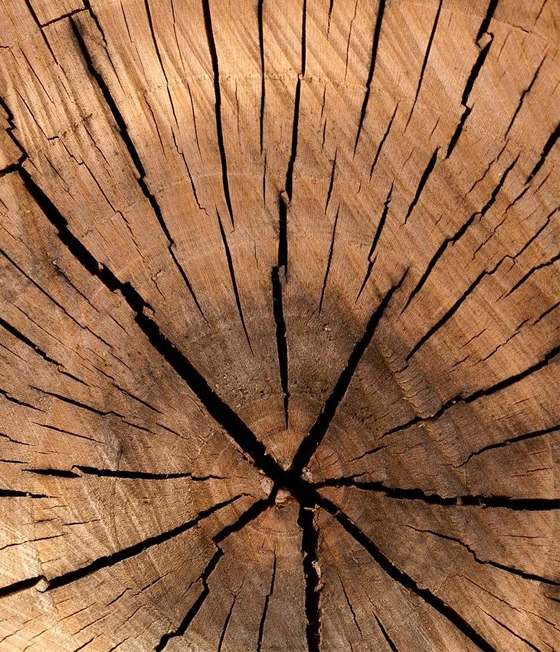 wood